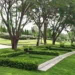 tipe-semi-private-shrub-san-diego-hills-450x250